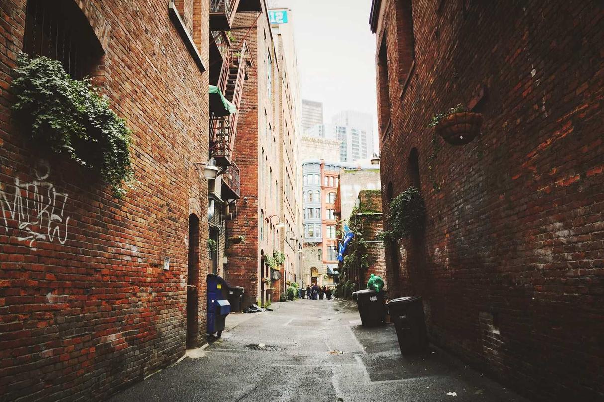 Aliquam odit facere ipsum