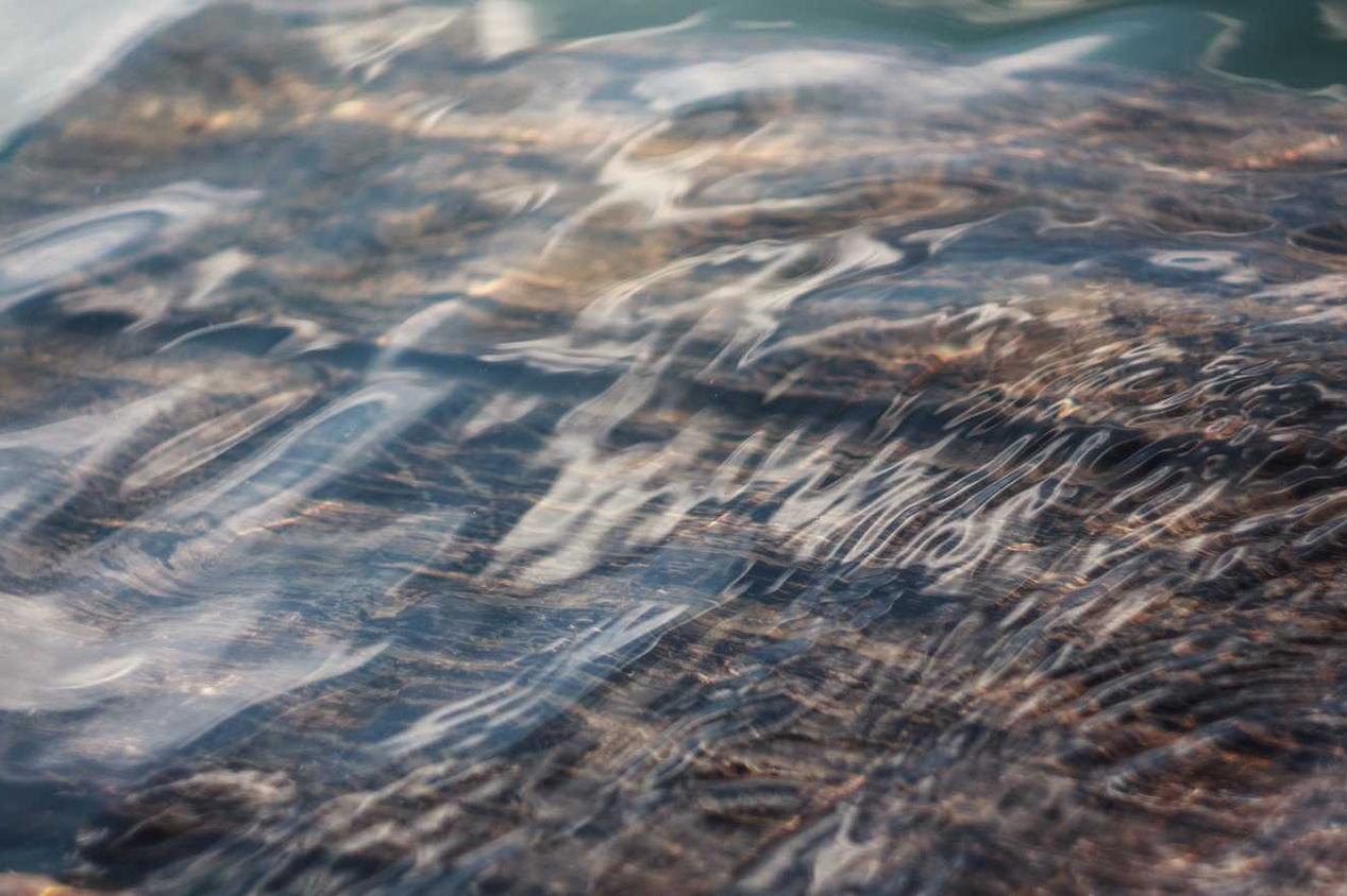 Ea delectus vel maxime dolores natus error