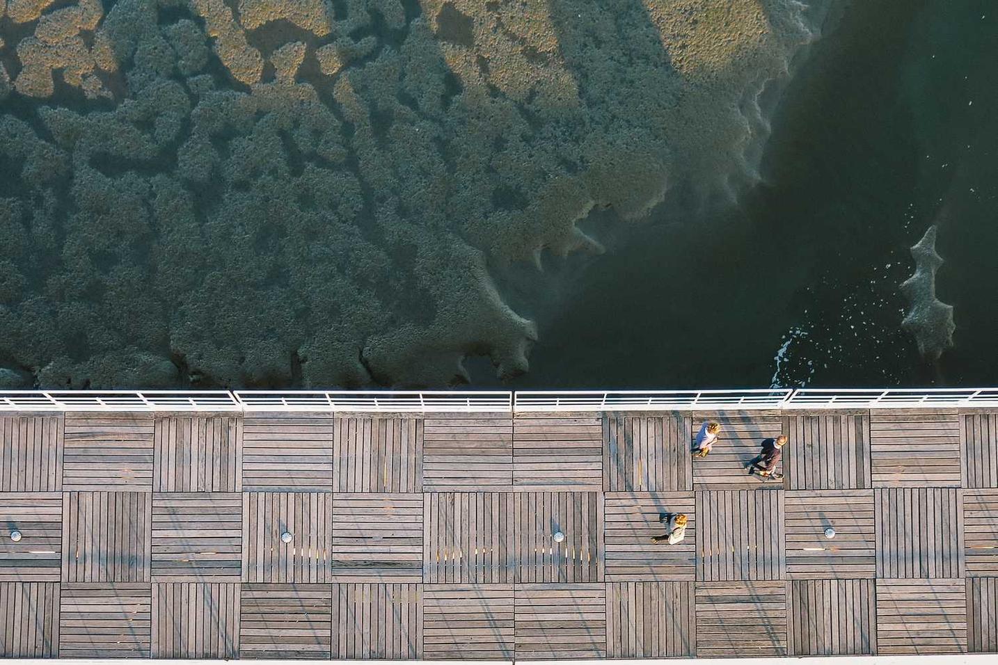 Quis excepturi adipisci