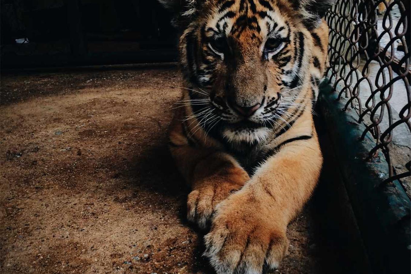 Vitae quaerat quo architecto