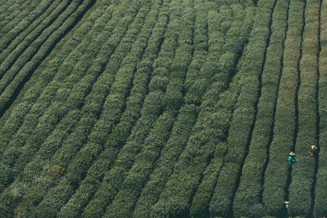 Numquam commodi doloribus atque ut ex sit