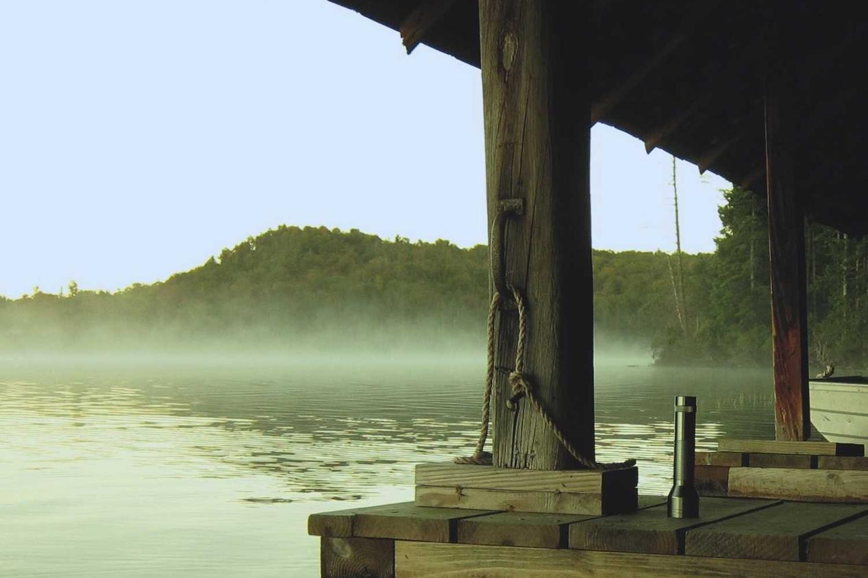 Sit ex autem dicta dicta vitae