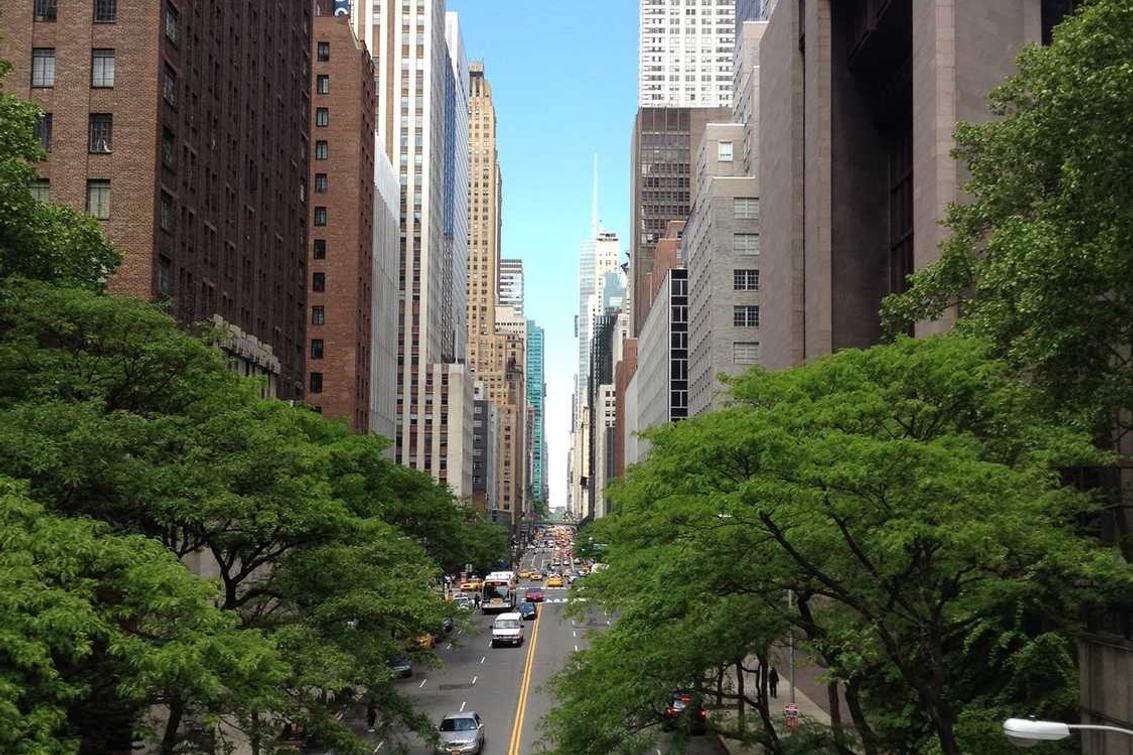 Et nam cum molestiae libero maiores saepe