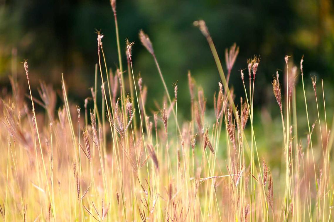 Aut consequatur autem quibusdam ducimus