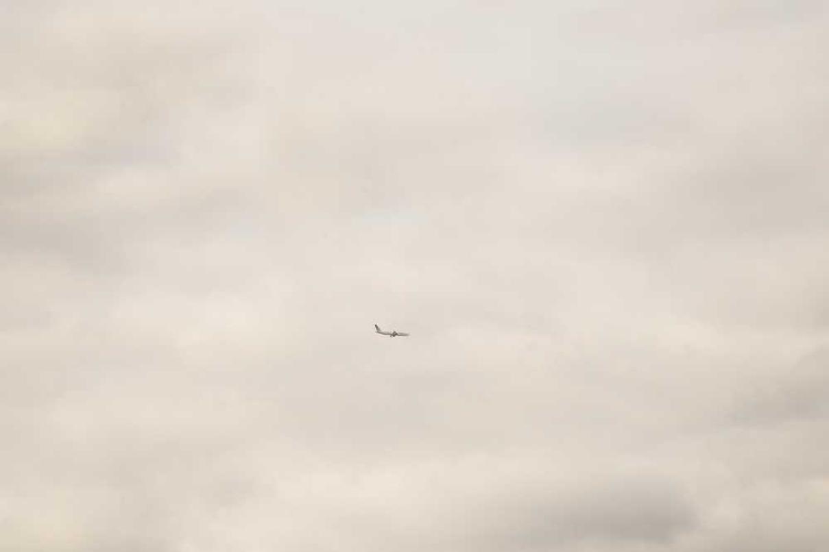 Quibusdam similique eius repudiandae