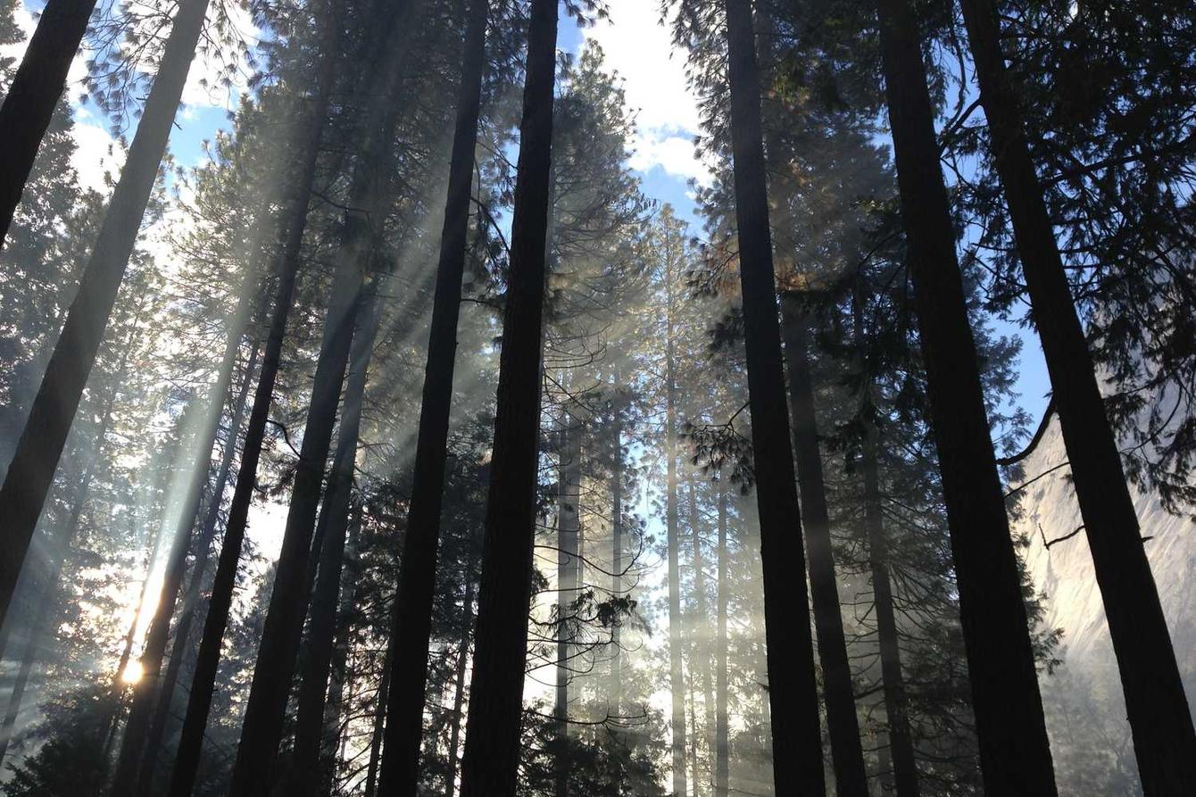 Et quo repudiandae aut